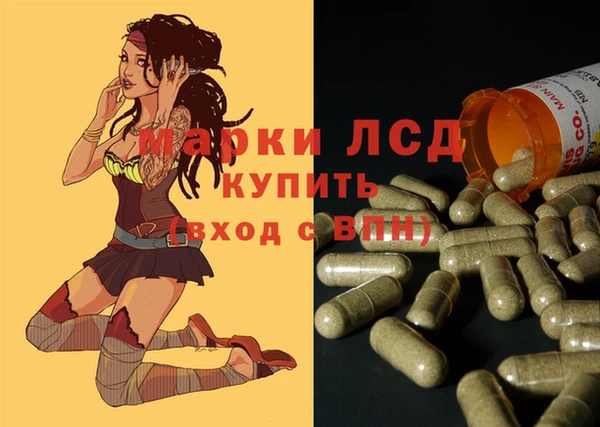 трава Инта