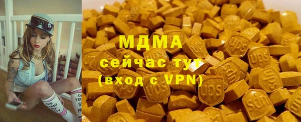 трава Инта
